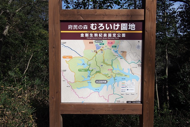 大阪府民の森 緑の文化園むろいけ園地でトレッキング