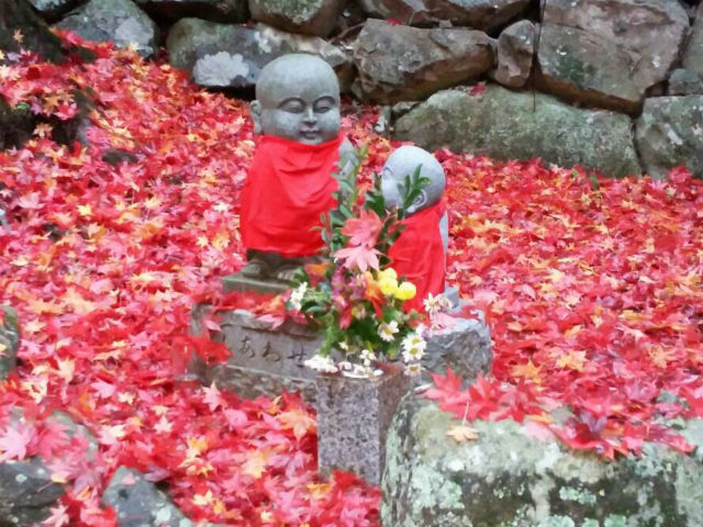 牛滝山の大威徳寺と紅葉